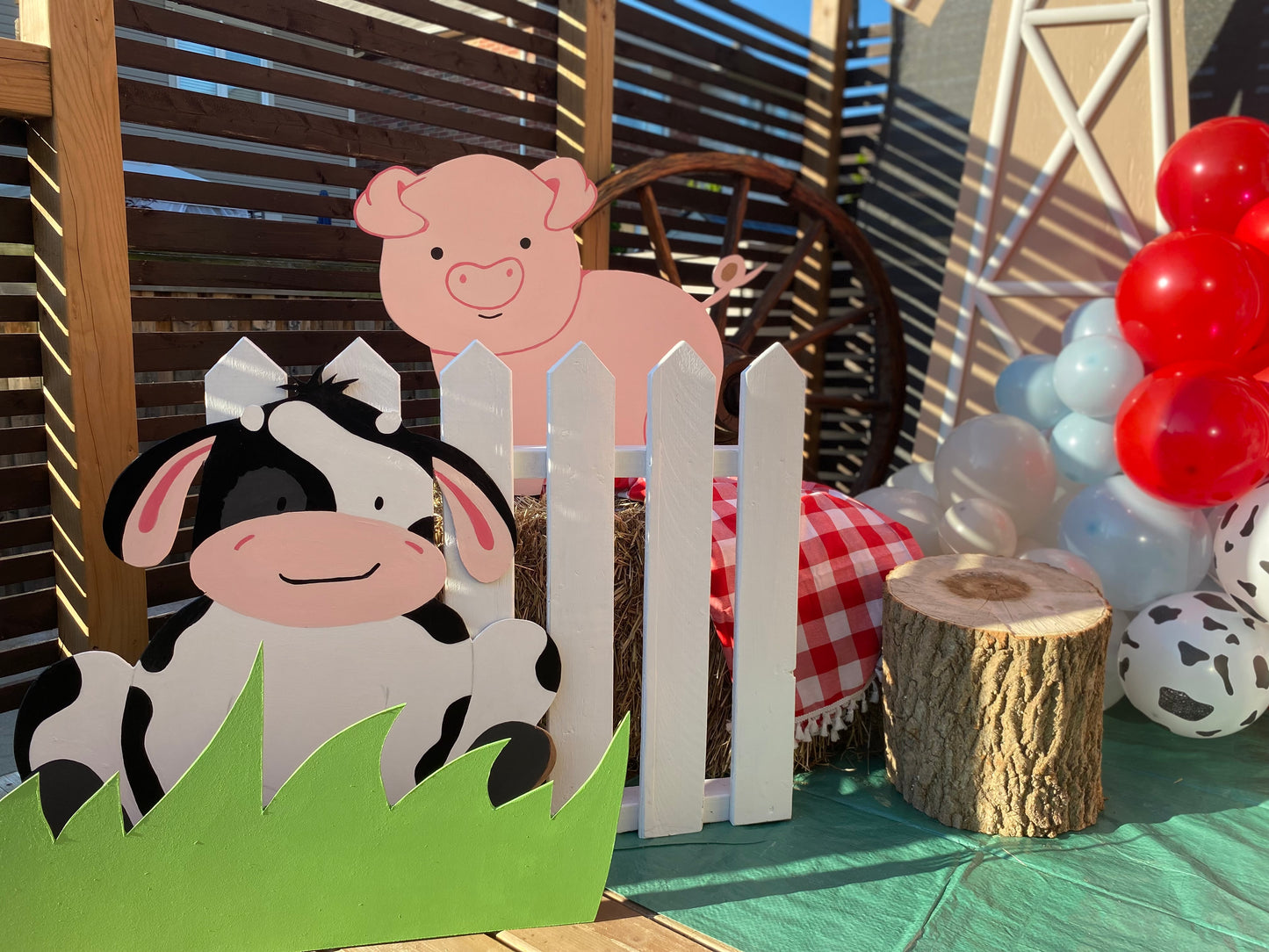 Barnyard Birthday Party Rental