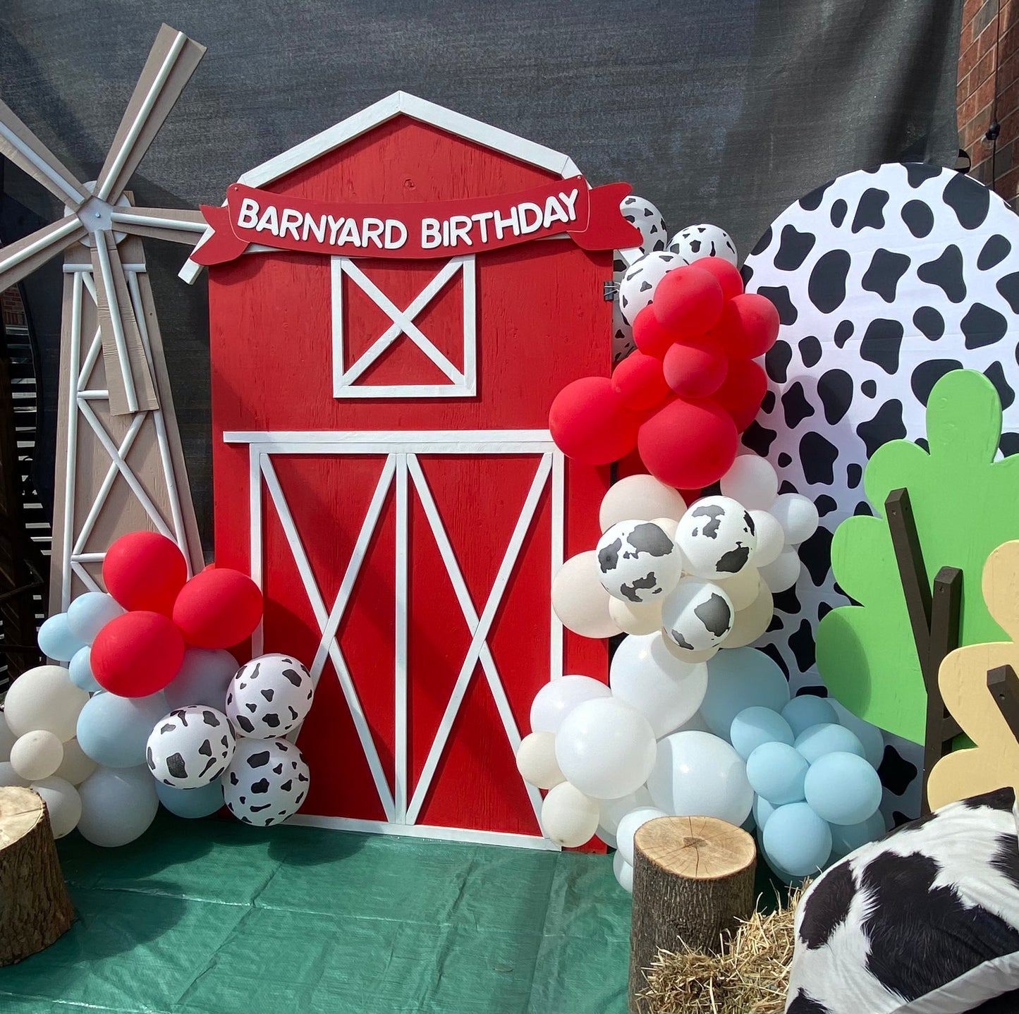 Barnyard Birthday Party Rental