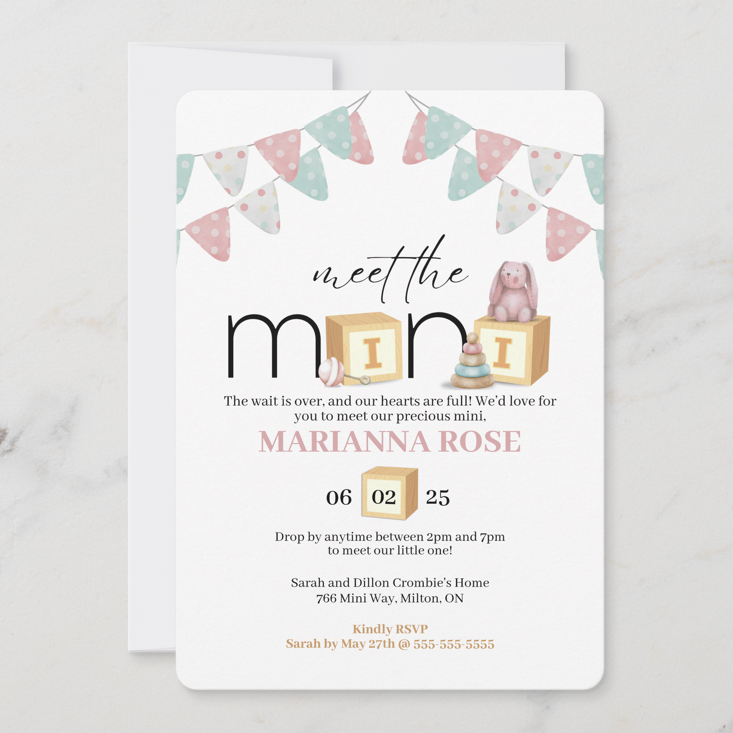 Meet The Mini Pink Baby Welcome Invitation