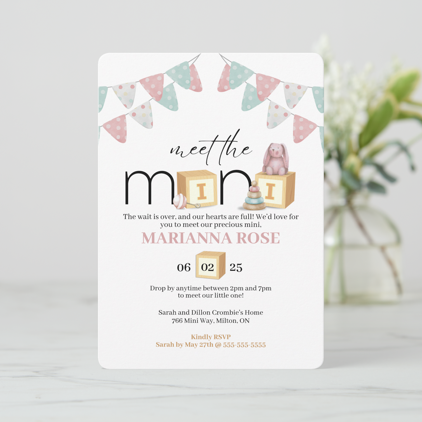 Meet The Mini Pink Baby Welcome Invitation